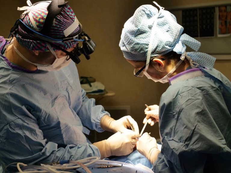 neurosurgeon